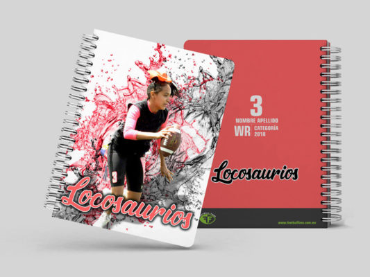 Cuadernos